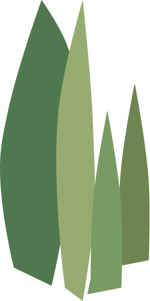 елки для 2